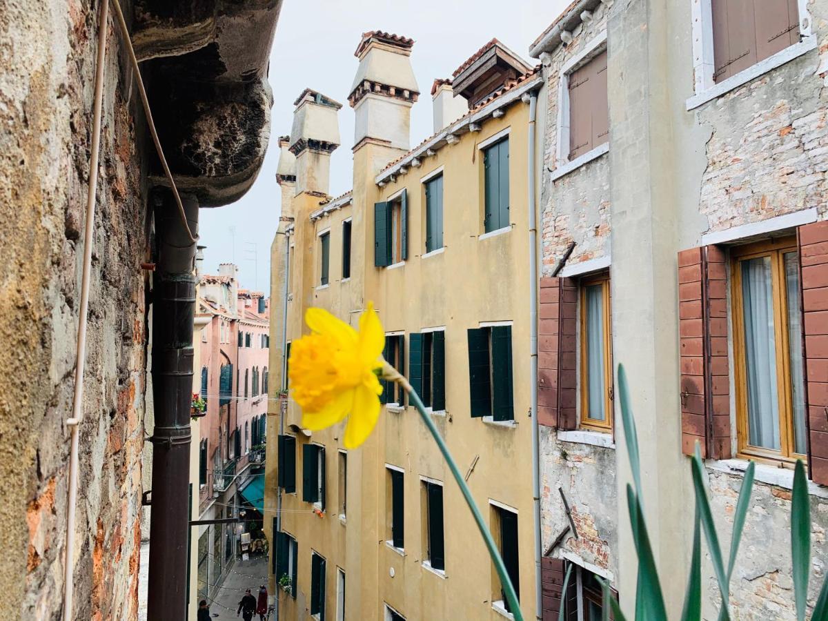 Rooftop Terrace Domus Dei Fabbri Venise Extérieur photo