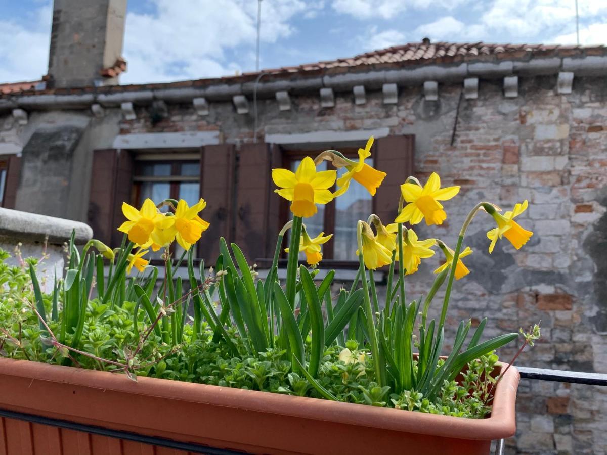 Rooftop Terrace Domus Dei Fabbri Venise Extérieur photo